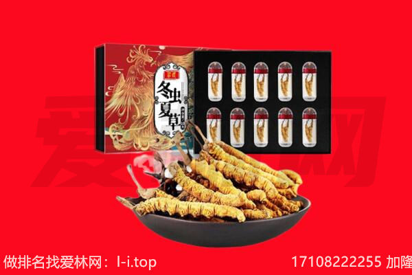 重庆梁平区回收虫草.jpg